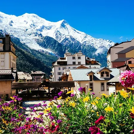 Chalet 4 Etoiles Pour 8 Pers. Vue Sur Mont Blanc 71623 Apartament